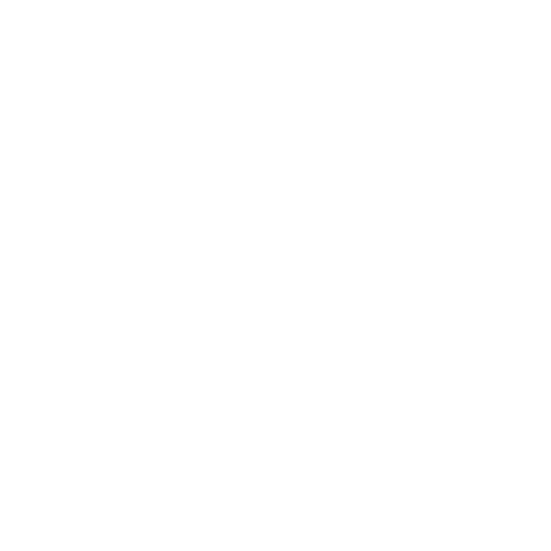 WhatsApp Logo